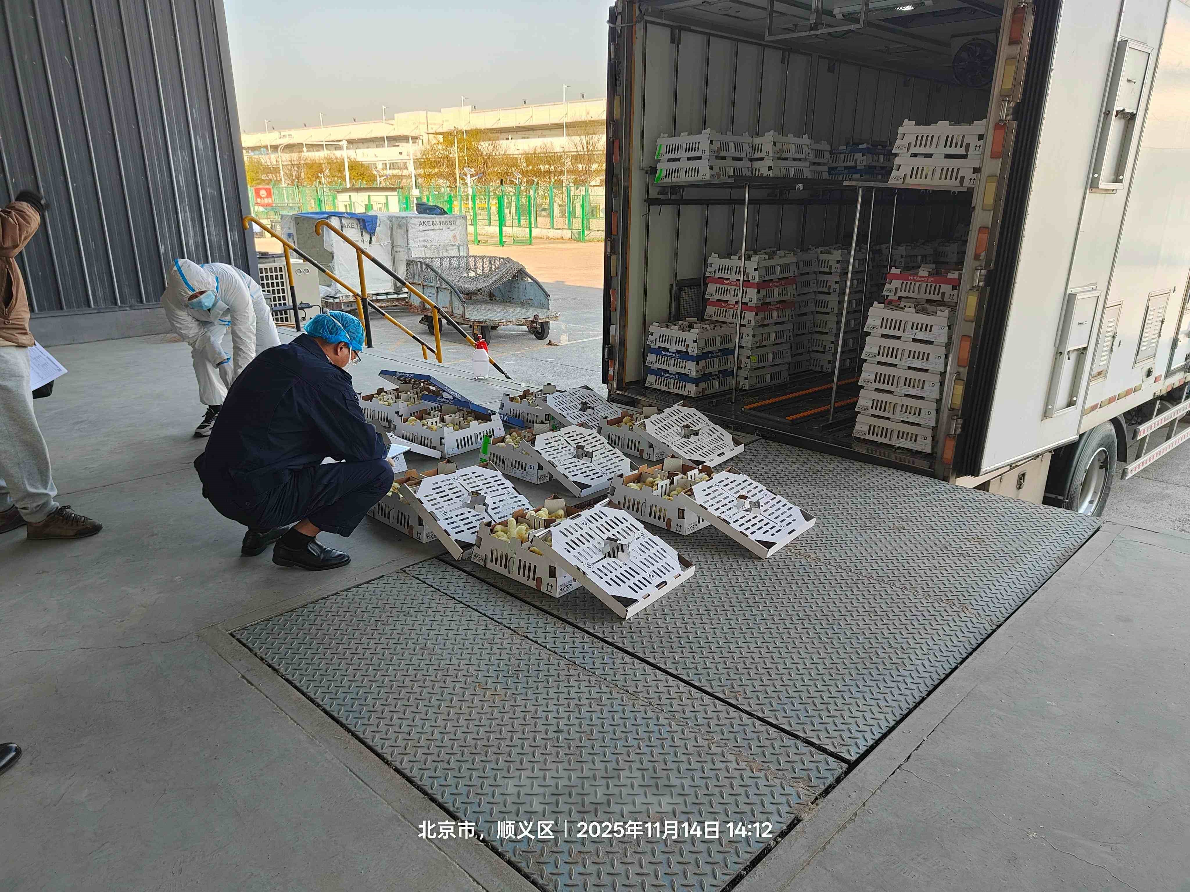 【喜讯】优德88股份再引种1.6万套祖代肉种鸡，引种总量突破23.6万套