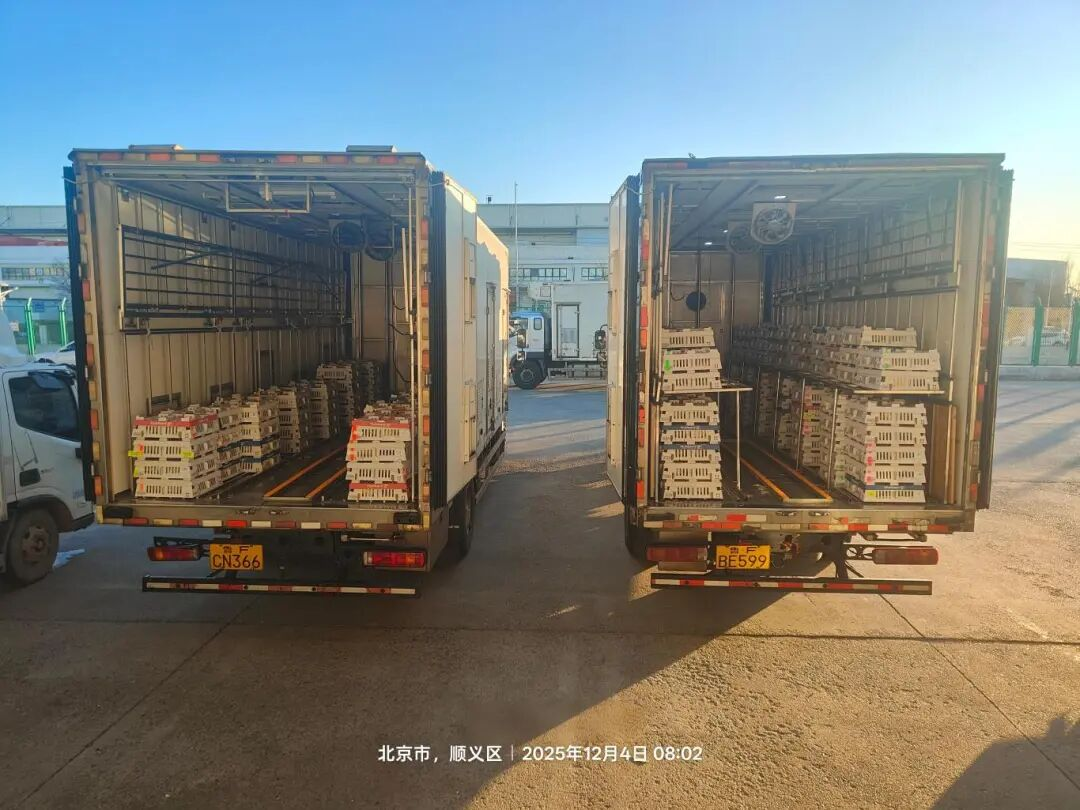[引种】优德88股份再度引进法国种源，龙头职位坚韧保险产业不变